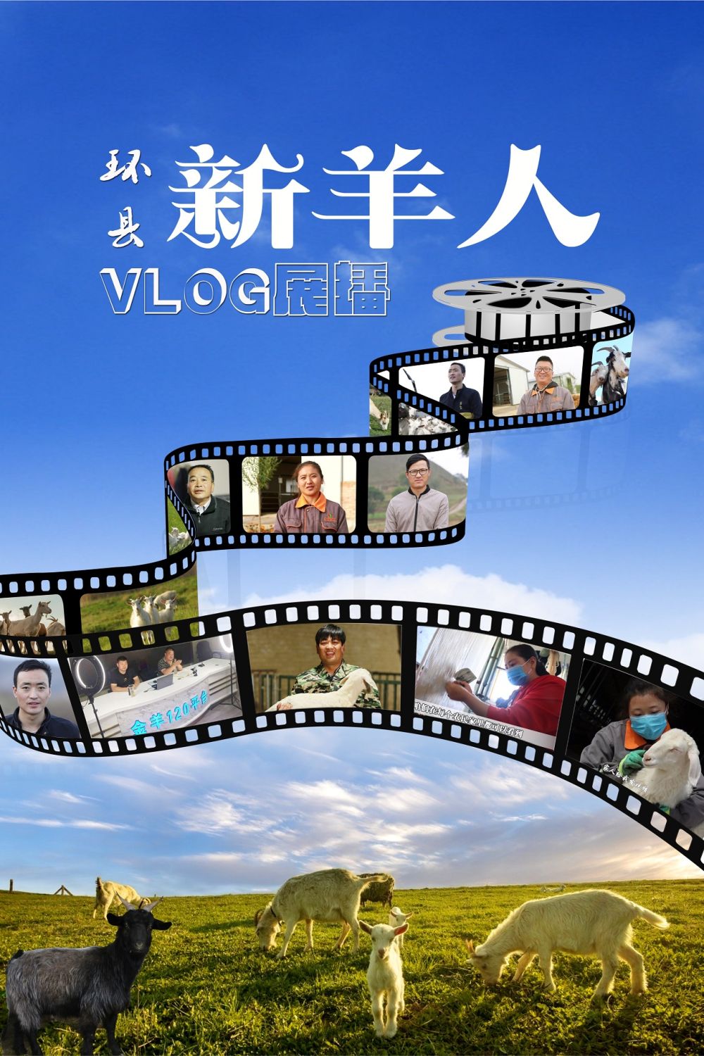 【環(huán)縣“新羊人”VLOG展播】“大學生養(yǎng)羊”殷亞運