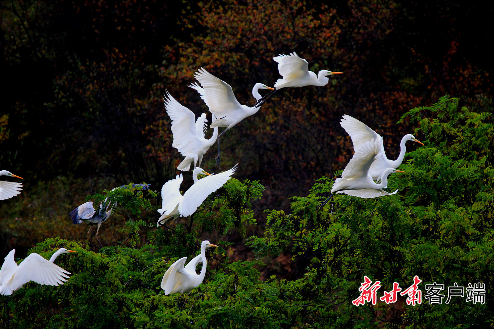 打基礎(chǔ) 利長遠(yuǎn) 增后勁——慶陽市持續(xù)推進(jìn)項(xiàng)目建設(shè)綜述