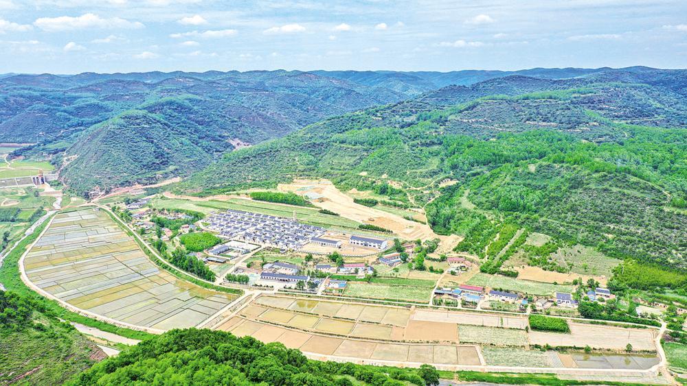 1200畝水稻扎根隴東黃土高原 預計今年產量可達75萬斤