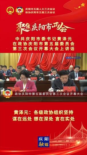 【兩會V視】黃澤元：各級政協(xié)組織堅持謀在遠(yuǎn)處、想在深處、言在實處