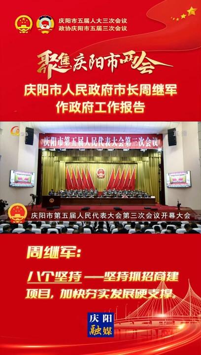 【兩會(huì)V視】周繼軍：堅(jiān)持抓招商建項(xiàng)目 加快夯實(shí)發(fā)展硬支撐