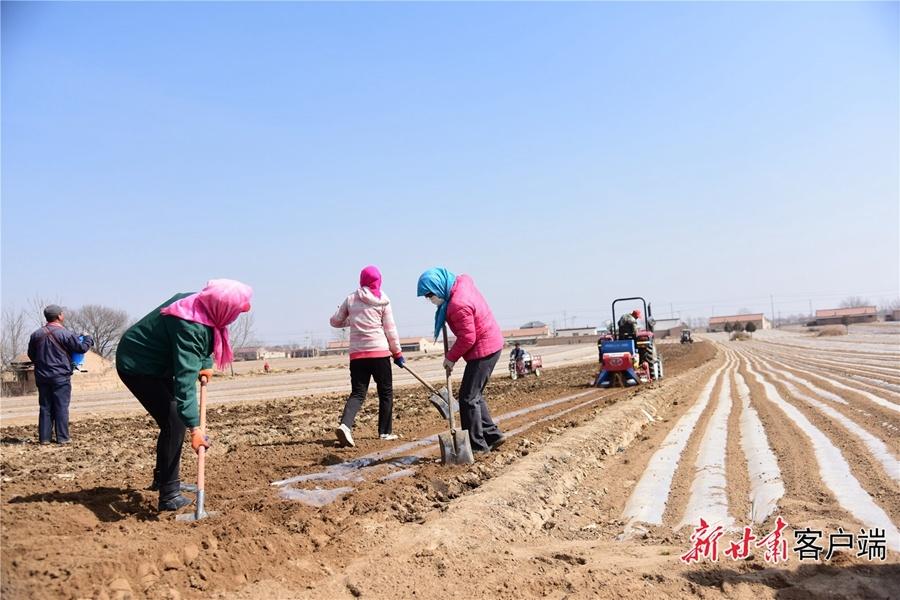 甘肅省慶陽市鎮(zhèn)原縣：田間地頭農(nóng)事起