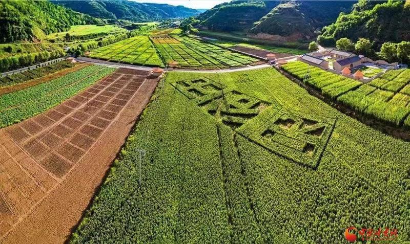 【2024甘肅生態(tài)環(huán)保行】華池：紅色南梁奏響“綠色交響曲”