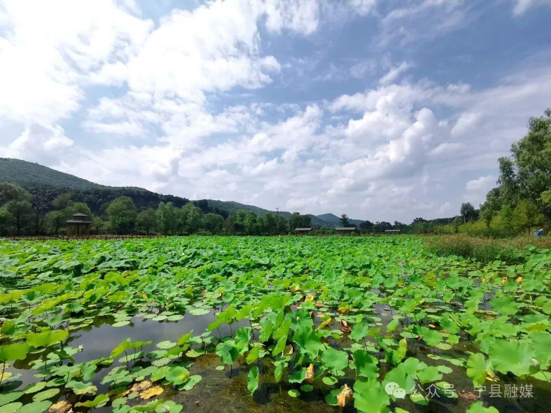 《慶陽(yáng)新聞》2024年8月13日