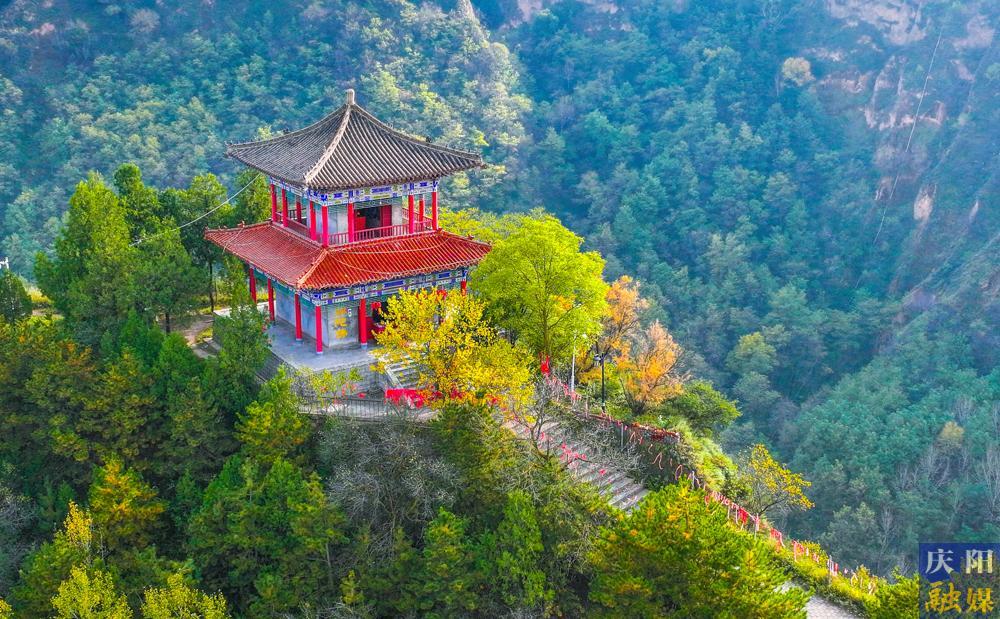 【攝影報道】天涼好個秋！一年一度醉人秋景如約而至