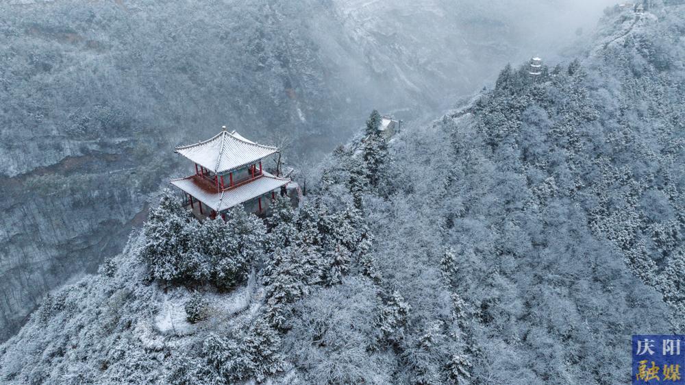 【視覺慶陽】今冬初雪美 霜葉瓊花飛